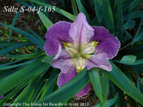Sdlg s-04-f-165 884 